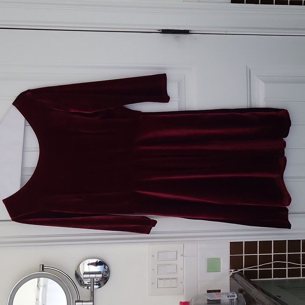 Blooms in the City Velvet Dress, Women's medium
